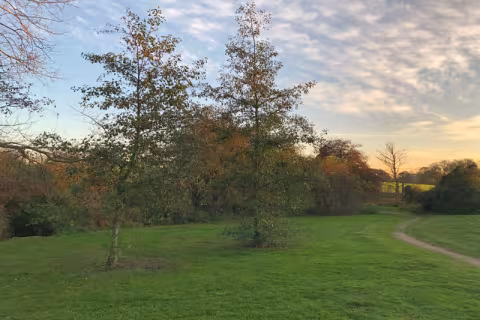 Footpath in the countryside.